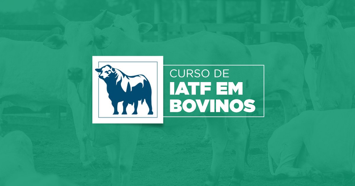 IATF-em-Bovinos-2 IATF em Bovino