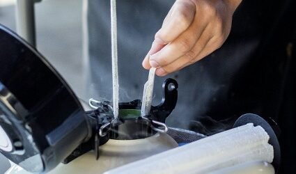 A IMPORTÂNCIA DA COMERCIALIZAÇÃO E UTILIZAÇÃO DE SÊMEN NA BOVINOCULTURA